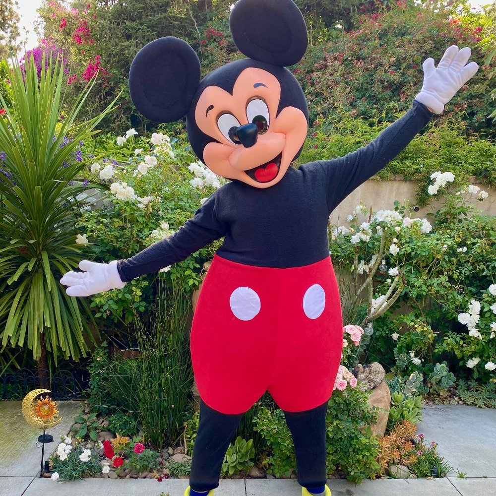 Mickey Mouse Clubhouse Mascot Costume (Almost New)